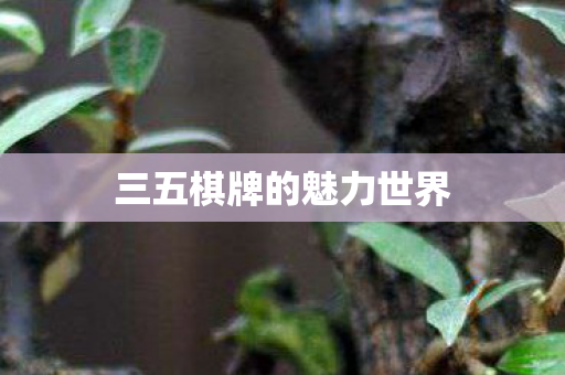 三五棋牌的魅力世界图片