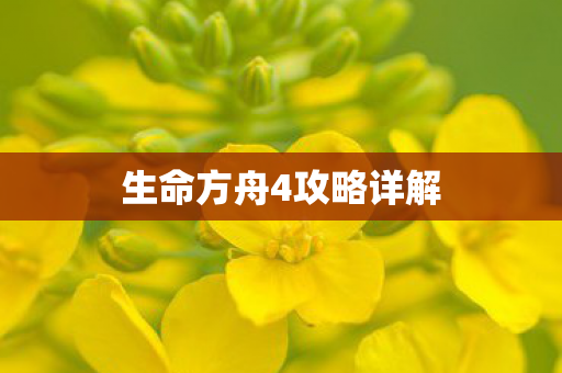 生命方舟4攻略详解图片