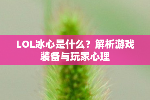 解析游戏装备与玩家心理图片