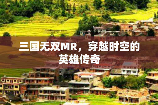 穿越时空的英雄传奇图片