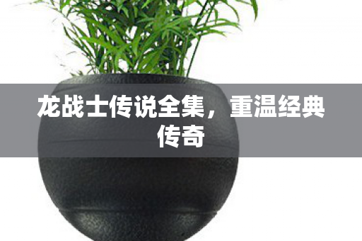 龙战士传说全集图片
