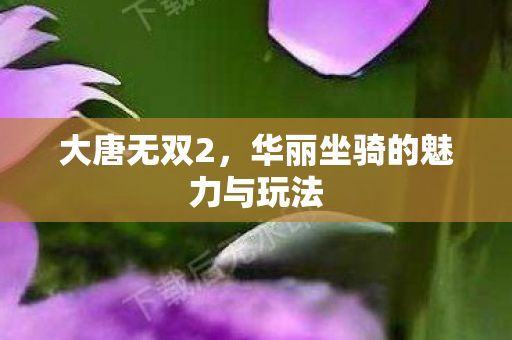 华丽坐骑的魅力与玩法图片