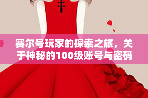 关于神秘的100级账号与密码真相揭秘图片