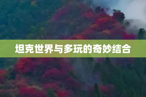 坦克世界与多玩的奇妙结合 坦克世界与多玩的奇妙结合