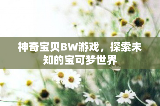 探索未知的宝可梦世界图片