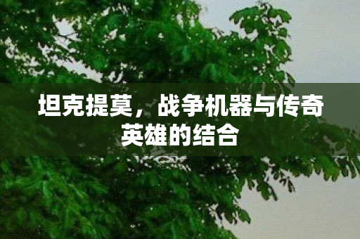 战争机器与传奇英雄的结合图片