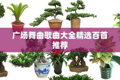 广场舞曲歌曲大全精选百首推荐图片
