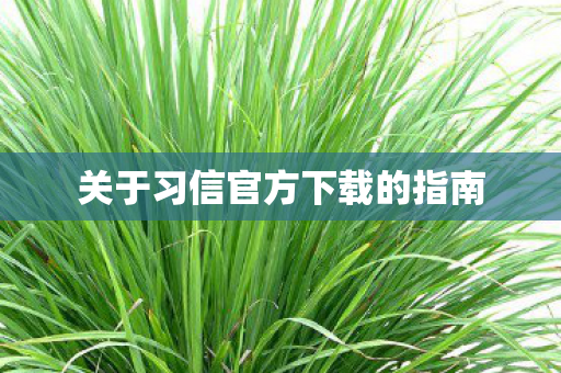 关于习信官方下载的指南图片