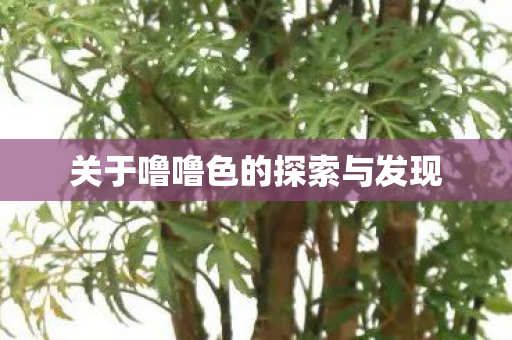关于噜噜色的探索与发现图片