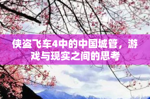 侠盗飞车4中的中国城管图片