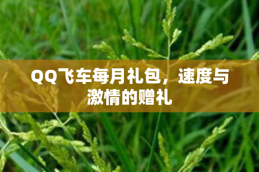 QQ飞车每月礼包图片
