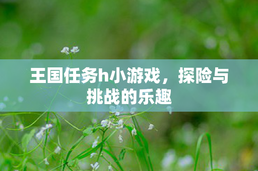 王国任务h小游戏图片