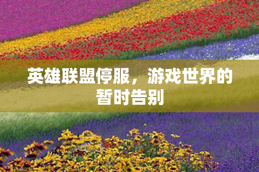 游戏世界的暂时告别图片