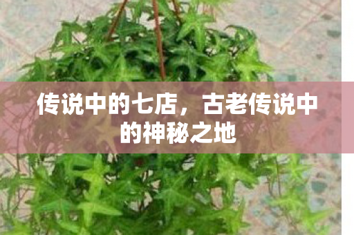 古老传说中的神秘之地图片