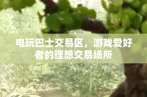游戏爱好者的理想交易场所图片