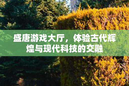 体验古代辉煌与现代科技的交融图片