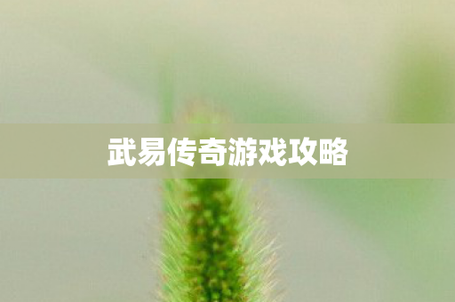 武易传奇游戏攻略图片
