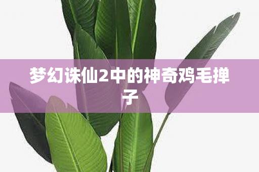 梦幻诛仙2中的神奇鸡毛掸子图片