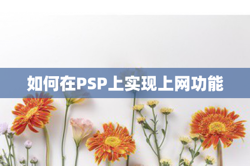 如何在PSP上实现上网功能图片