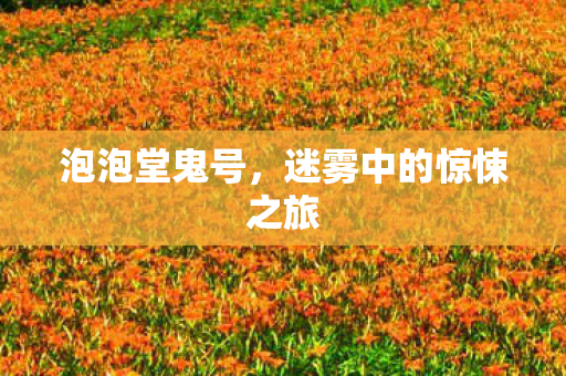 迷雾中的惊悚之旅图片
