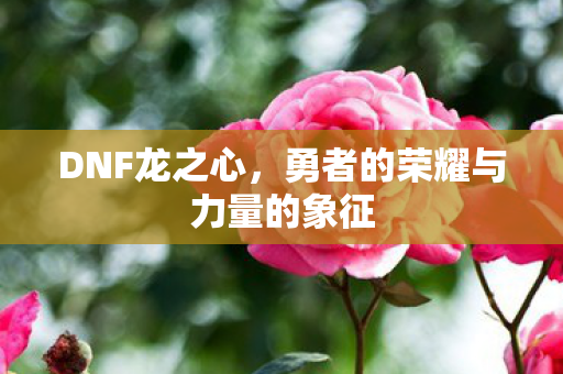 勇者的荣耀与力量的象征图片