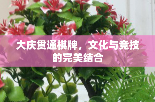文化与竞技的完美结合图片