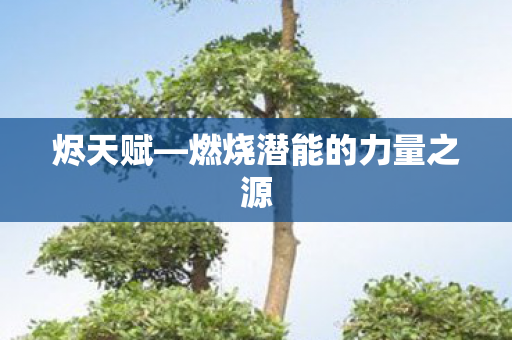 燃烧潜能的力量之源图片