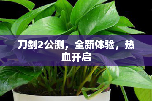 刀剑2公测图片