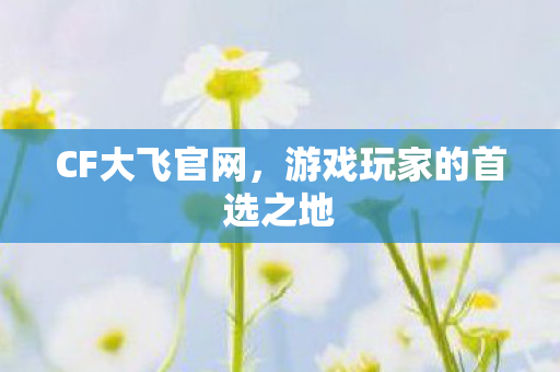 游戏玩家的首选之地图片