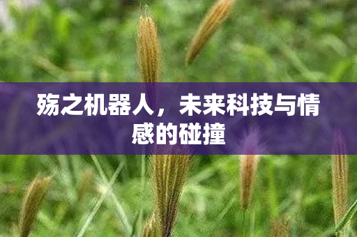 未来科技与情感的碰撞图片