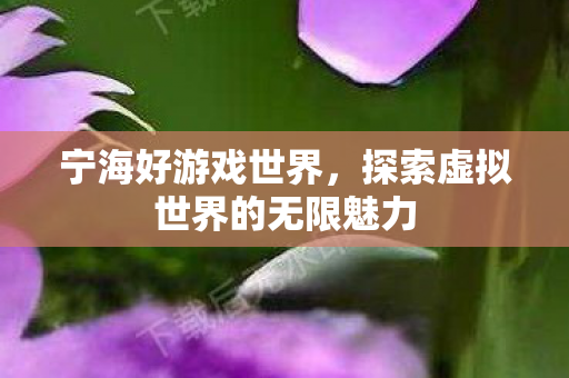 探索虚拟世界的无限魅力图片