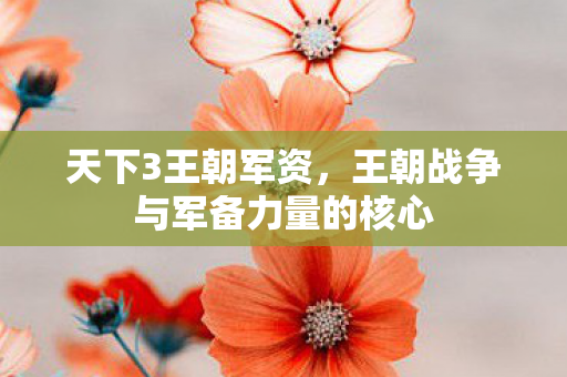 王朝战争与军备力量的核心图片