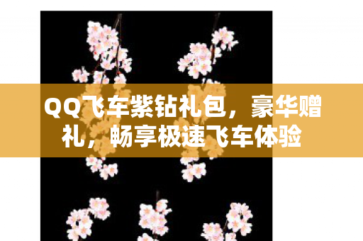 QQ飞车紫钻礼包图片