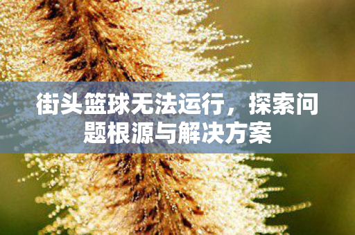 探索问题根源与解决方案图片