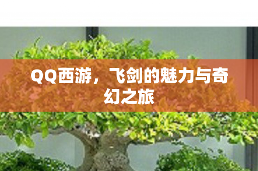 飞剑的魅力与奇幻之旅图片