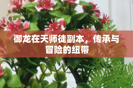 御龙在天师徒副本图片