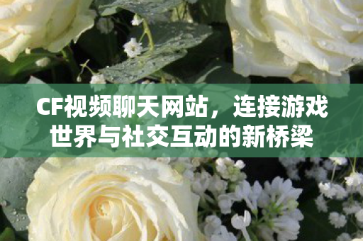 连接游戏世界与社交互动的新桥梁图片