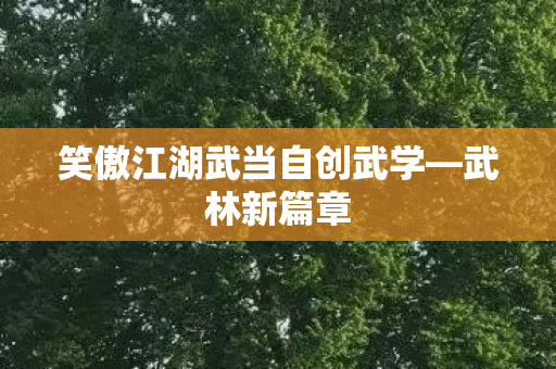 笑傲江湖武当自创武学图片