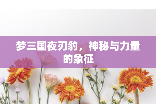 神秘与力量的象征图片