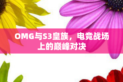 OMG与S3皇族，电竞战场上的巅峰对决