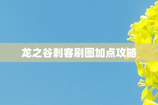 龙之谷刺客刷图加点攻略图片