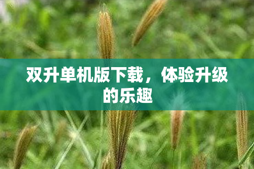 双升单机版下载图片