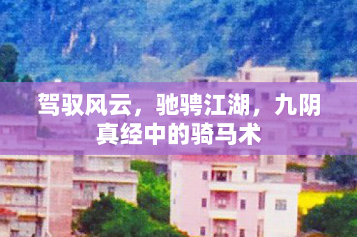九阴真经中的骑马术图片