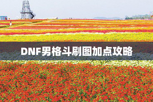 DNF男格斗刷图加点攻略图片