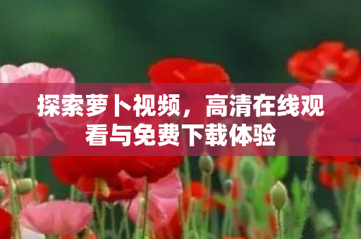 高清在线观看与免费下载体验图片