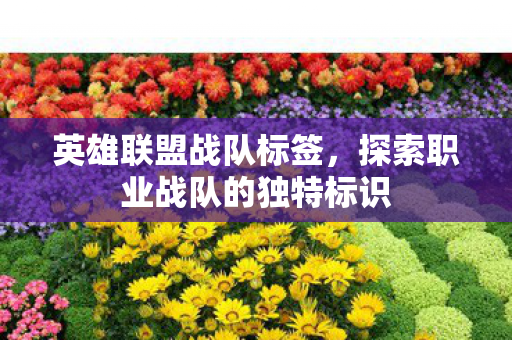 英雄联盟战队标签,探索职业战队的独特标识 英雄联盟战队标签,探索职业战队的独特标识