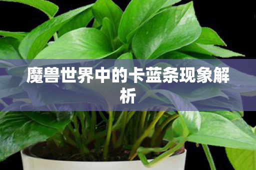 魔兽世界中的卡蓝条现象解析 魔兽世界中的卡蓝条现象解析