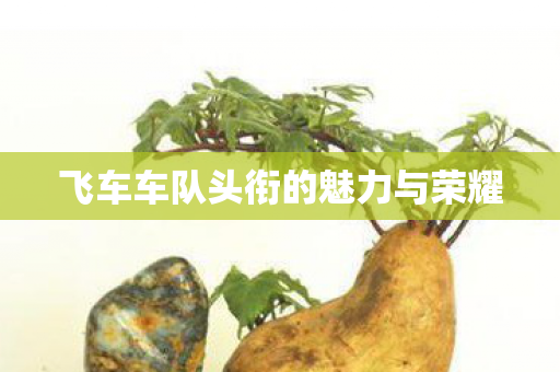 飞车车队头衔的魅力与荣耀 飞车车队头衔的魅力与荣耀