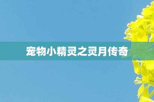 宠物小精灵之灵月传奇