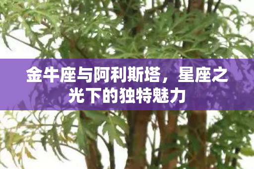 金牛座与阿利斯塔,星座之光下的独特魅力 金牛座与阿利斯塔,星座之光下的独特魅力